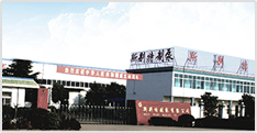 企業簡介
