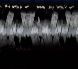 投資75億！又一年產(chǎn)2.4萬噸高性能聚丙烯腈基碳纖維項目完成簽約